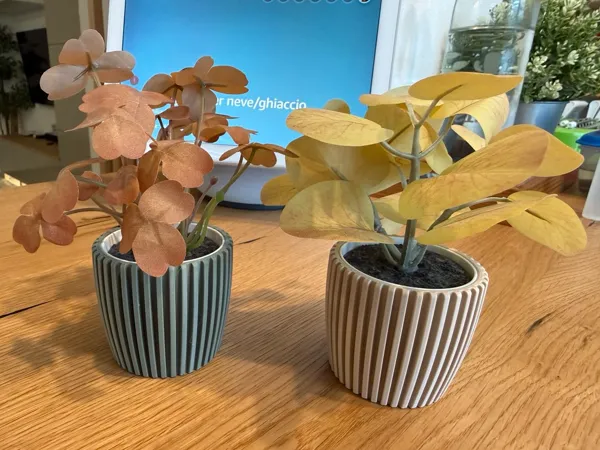 https://makerworld.bblmw.com/makerworld/model/US68b305aee3d319/design/6edb7afdc97185a5.jpg