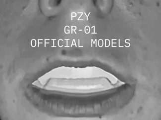 PZY GR-01 ("PEEZY GRILLZ V1")