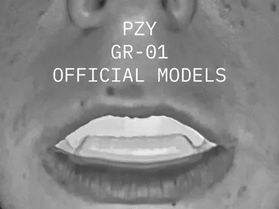 PZY GR-01 ("PEEZY GRILLZ V1")