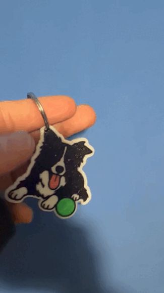 Collie