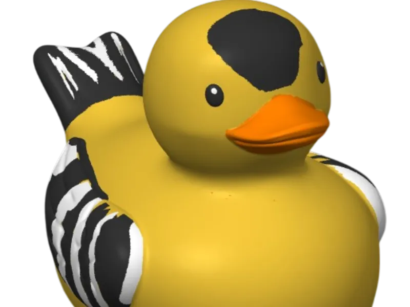 Goldfinch Duck