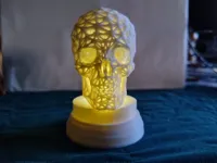 0.08mm layer, 2 walls, 15% infill