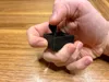 Latest Fidget without Gas/Clutch (2.4k Downloads)
