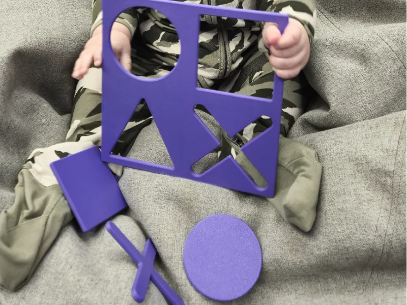 Basic Shapes Educational Toy