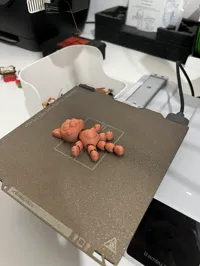 0.2mm layer, 2 walls, 15% infill