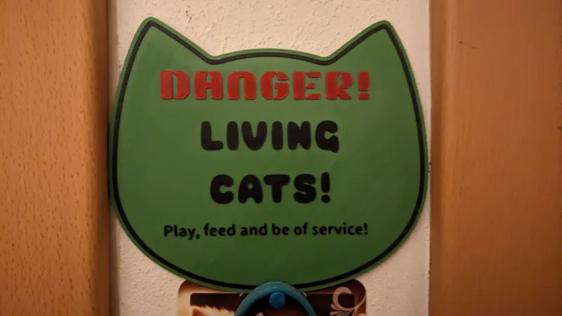Danger - Living Cats!