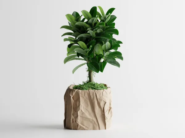 https://makerworld.bblmw.com/makerworld/model/US68c7e28287b367/design/2025-05-13_8dc3beab0ffe5.jpg