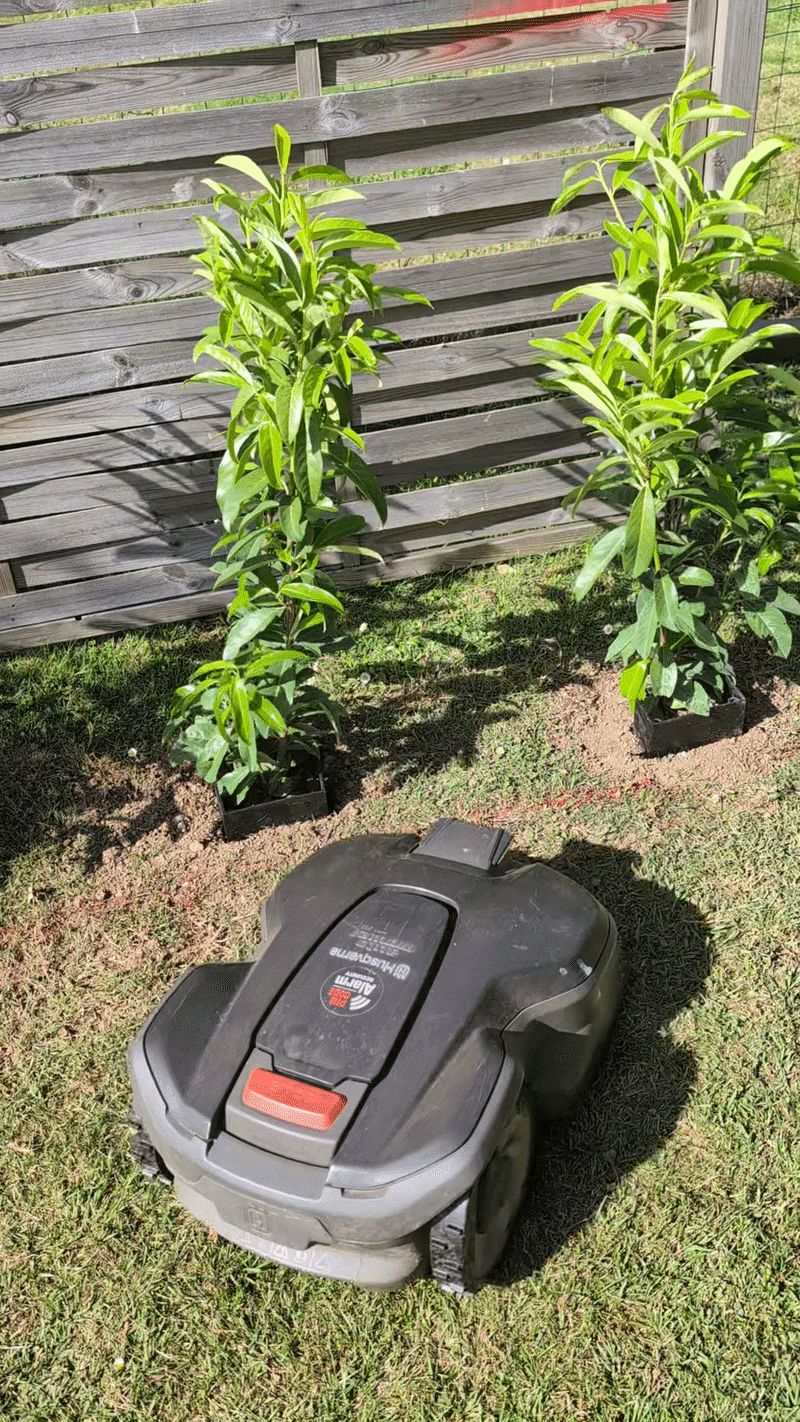 Protection de plantes pour robot tondeuse