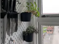 Skadis Herb Pot Holder