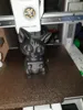 Katze