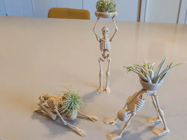 https://makerworld.bblmw.com/makerworld/model/US68d2e1c12e7359/design/b5a5963fd9d8f08d.jpg