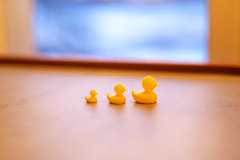 Hide-a-duck game