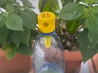PETG - wasp trap for pet bottle