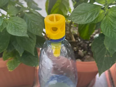 Wasp Trap Bottle Adapter
