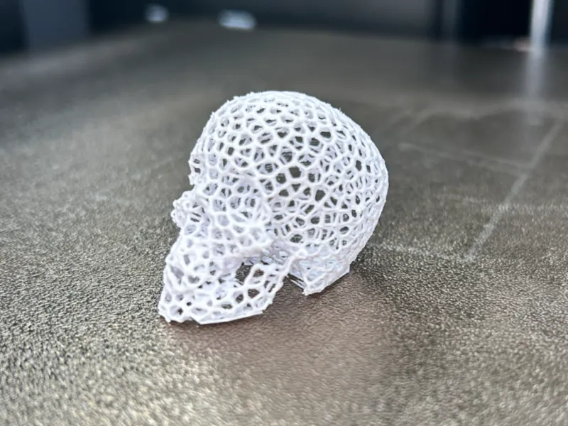 Ultralight Voronoi Skull 1.53g pla support free