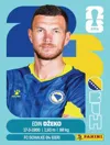 Dzeko