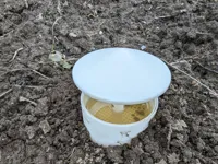 Piège à limaces et escargots — photo 8
