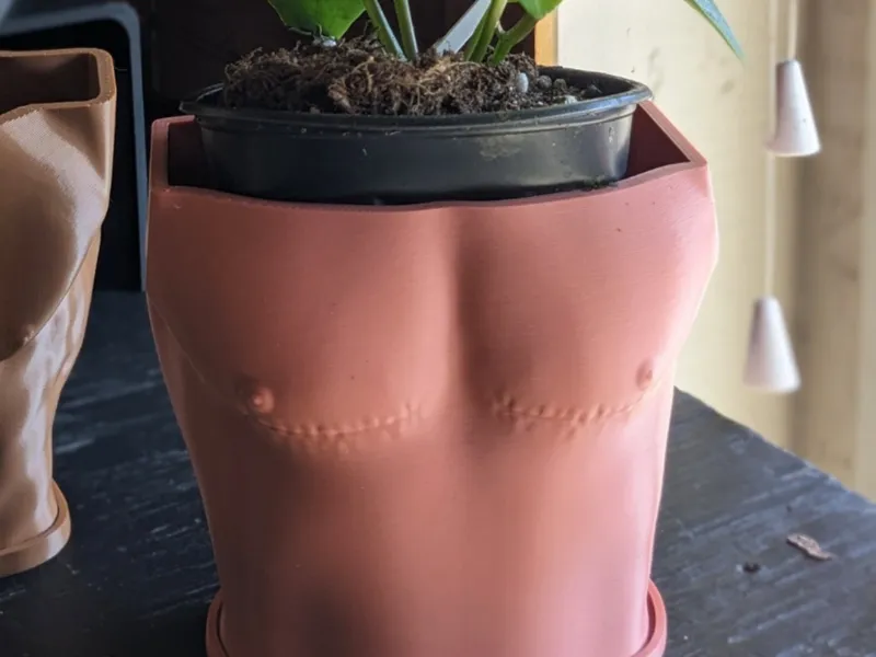 Top Surgery Plant Pot