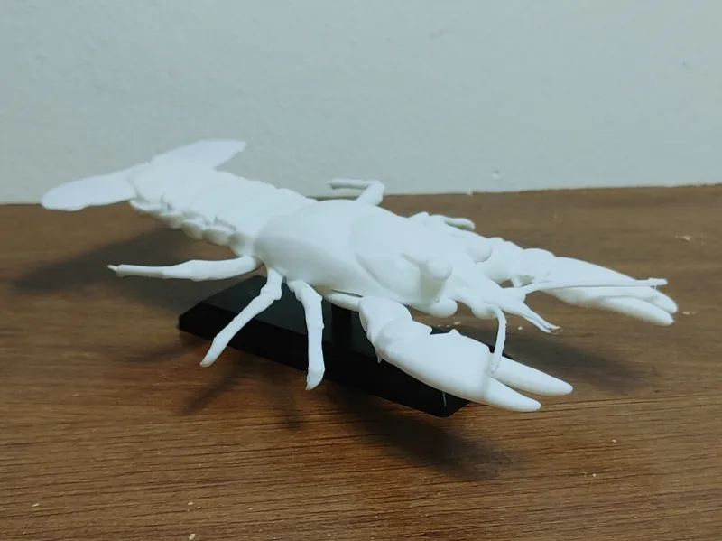 Freshwater Crayfish Mount