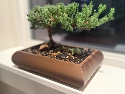 Bonsai Planter