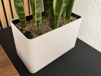 0.24mm layer, 2 walls, 15% infill