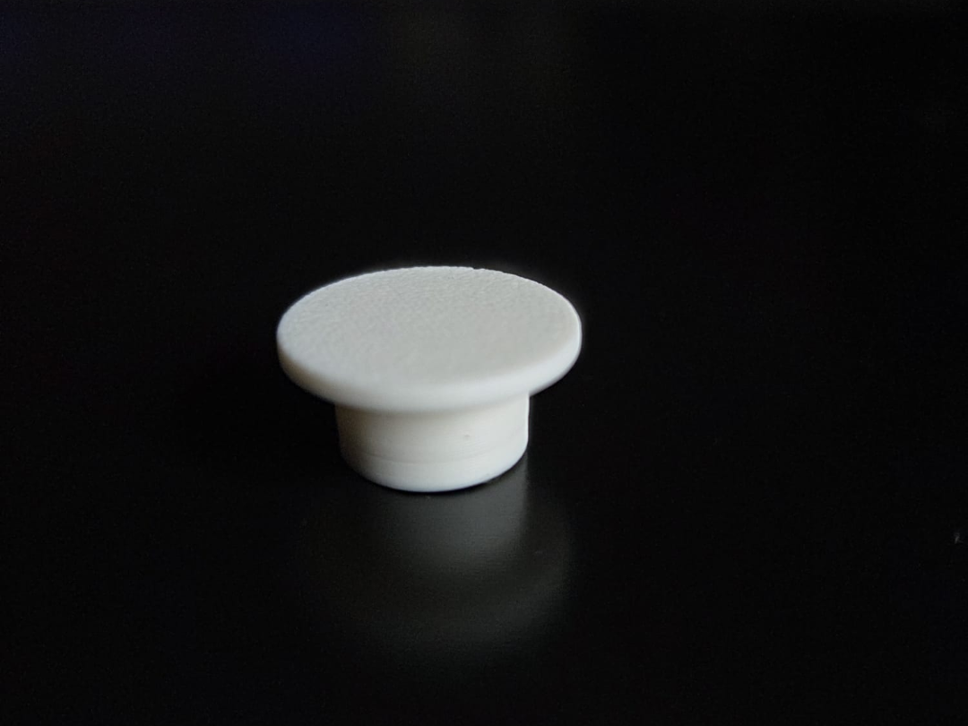 Screwhole cover/ plug