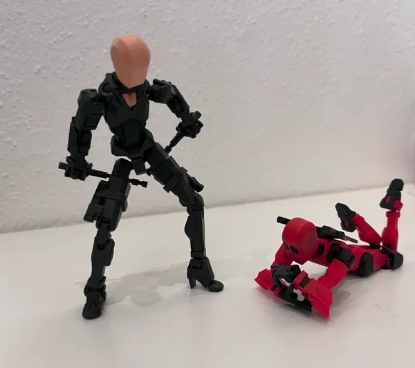 https://makerworld.bblmw.com/makerworld/model/US6910b61ef52a10/design/2024-02-07_f57cacbd2382f8.jpg
