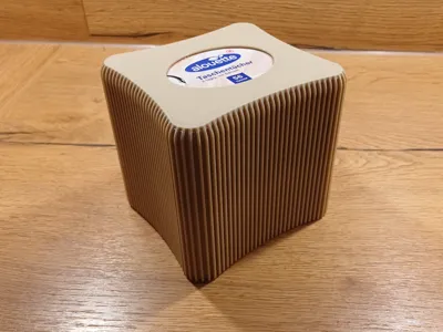 Taschentuchbox