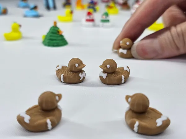 https://makerworld.bblmw.com/makerworld/model/US6915cd2dfbe060/design/2025-12-18_3f5b18ca6828d.jpg