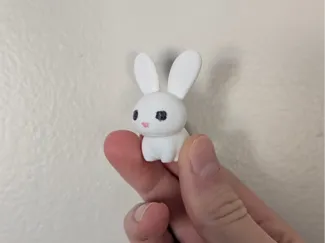 Cute bunny