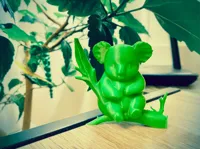 Koala mignon — photo 2