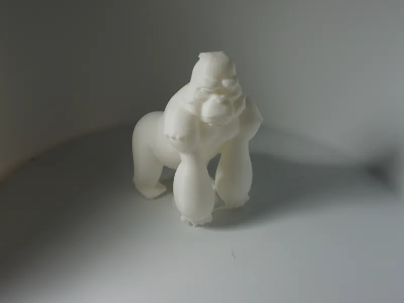 Gorilla