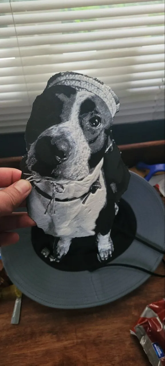DOG 3 COLOR no ams necesari