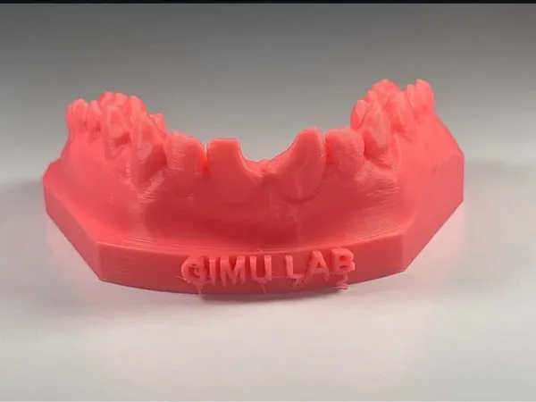 https://makerworld.bblmw.com/makerworld/model/US69210a3b8b3bd7/design/2024-07-28_5cc6b1f2298d.jpg