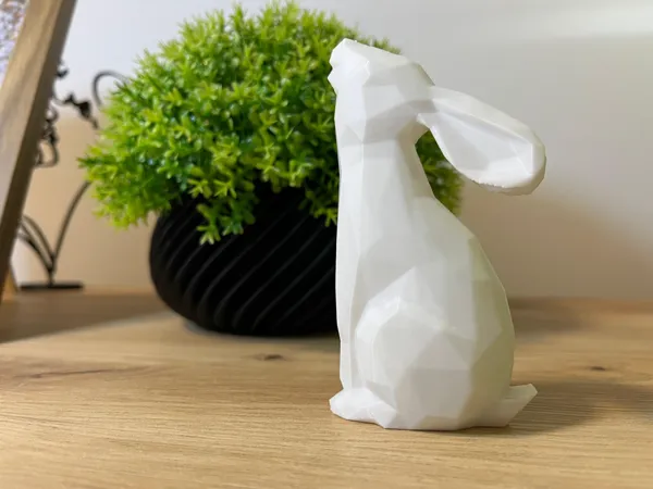 https://makerworld.bblmw.com/makerworld/model/US692352e0bce543/design/2025-01-18_213c300aa41e9.jpeg