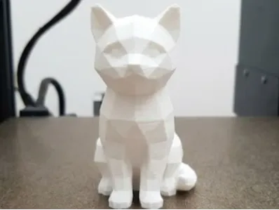 Cute Cat