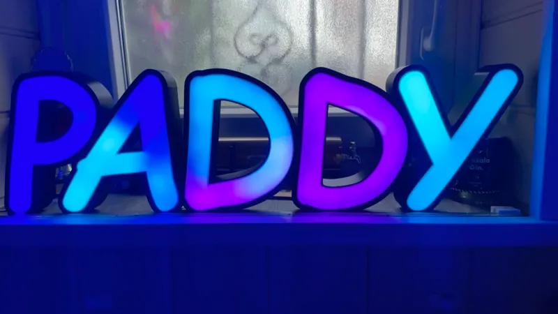 Paddy LED Lampe