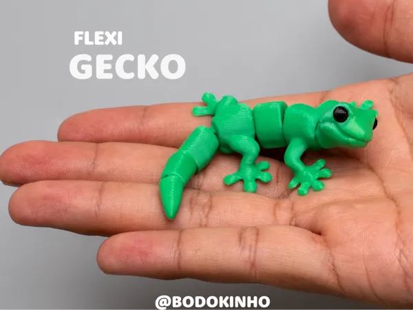 https://makerworld.bblmw.com/makerworld/model/US69304525a4ec59/design/b47497f119cfc29d.jpg