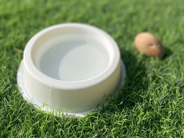 Gamelle 3-en-1 Pet Splash N' Snack