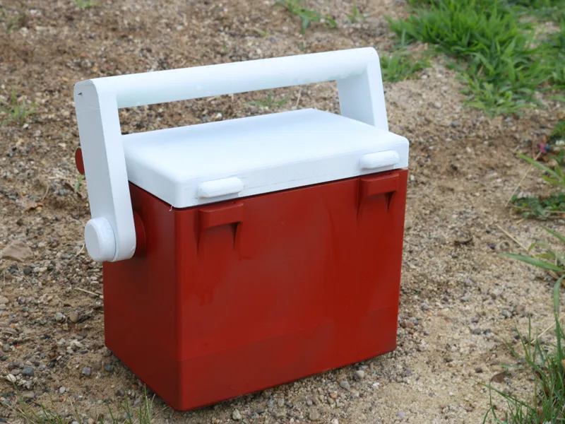 Arctic Freeze 6 Pack Cooler