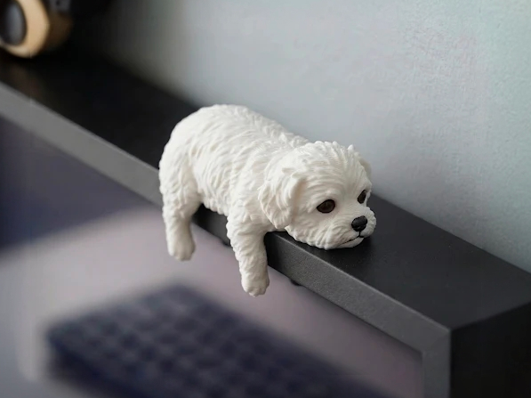 Sleepy Maltese - Monitor Buddy