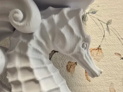Seahorse Bracket 