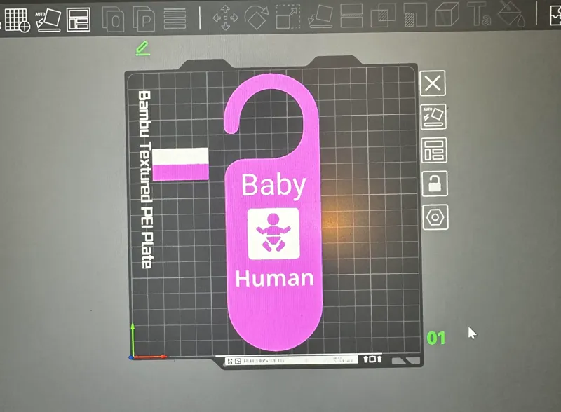 baby human 