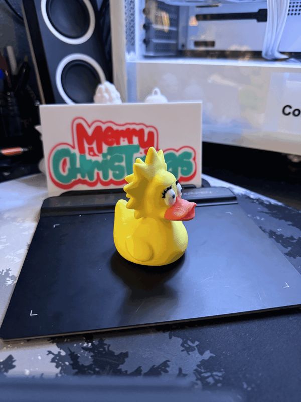 https://makerworld.bblmw.com/makerworld/model/US693efb5243947f/design/2024-12-21_672255fbfa49f.gif