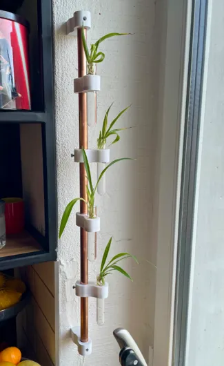 Wand-Reagenzglas-Garten
