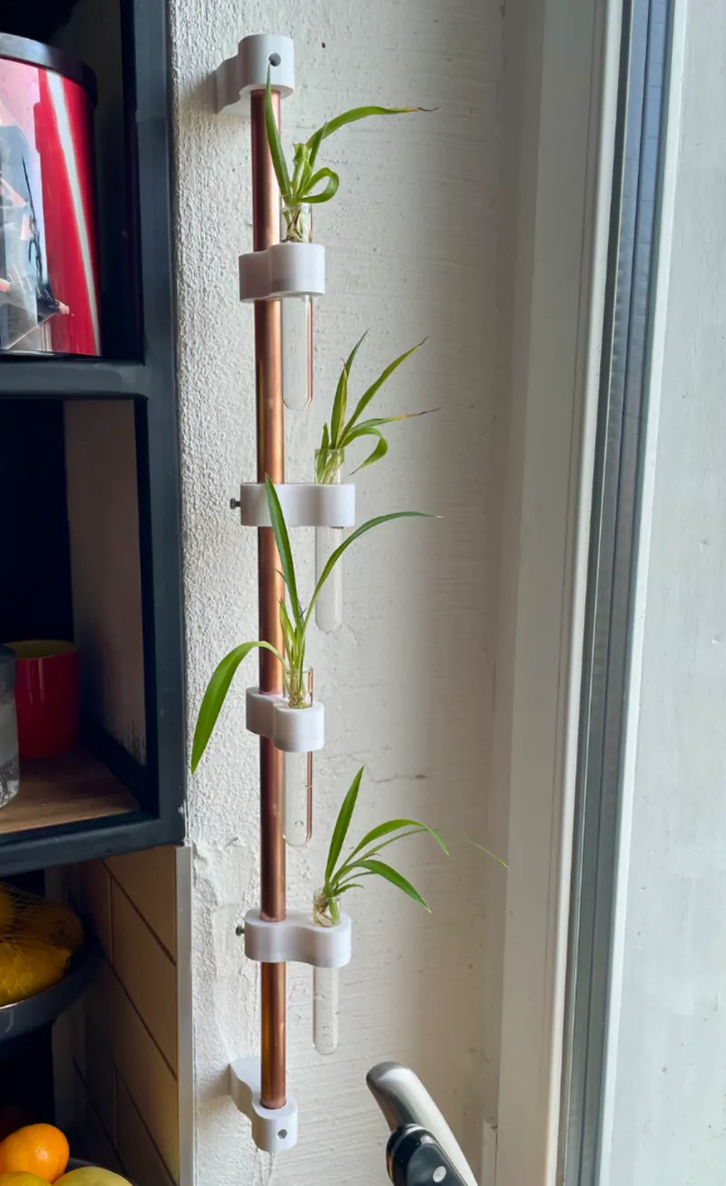 Wand-Reagenzglas-Garten