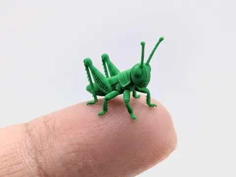 Accesorio para boquillas: The smallest grasshopper in the world (Nozzle 0.4) — referencia de MakerWorld
