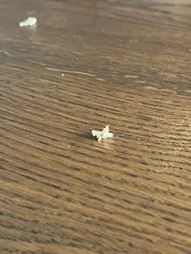 Accesorio para boquillas: The smallest grasshopper in the world (Nozzle 0.4) — vista de referencia 3