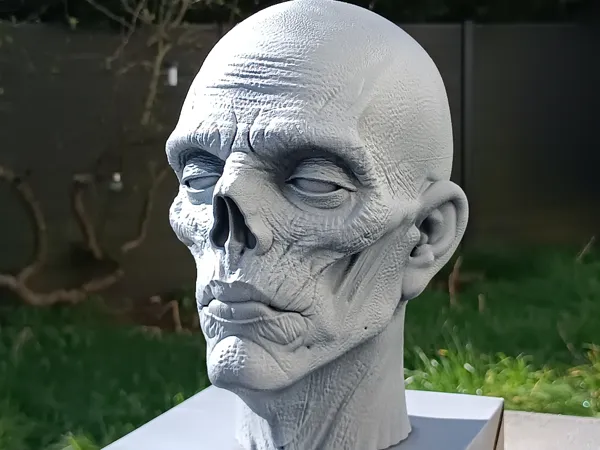 https://makerworld.bblmw.com/makerworld/model/US694faa9e61301a/design/16e88a8a5afe3464.jpg