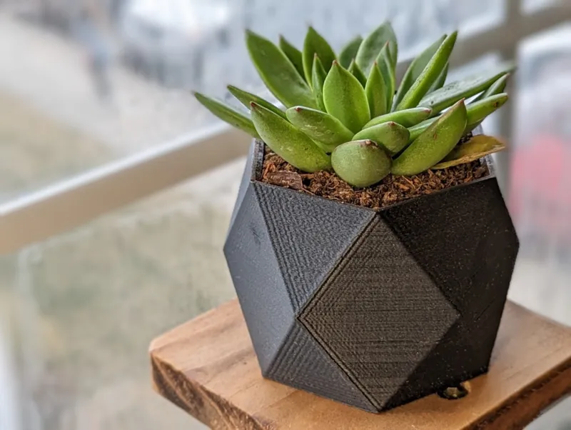 Geometric Succulent Pot with Drainage Hole